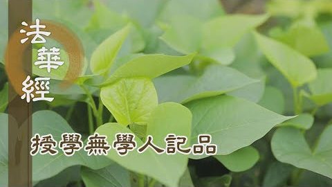 《法華經 授學無學人記品》- 受持法藏 護佛種性 - 第1172集