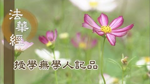 《法華經 授學無學人記品》- 弘宣正法 照生死闇 - 第1193集