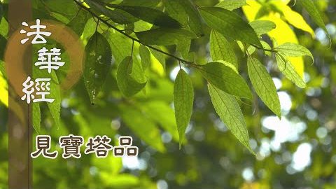 《法華經 見寶塔品》- 發弘誓願 菩薩因行 - 第1306集