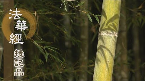 《法華經 授記品》 - 廣宣諸佛 無量大法 - 第929集
