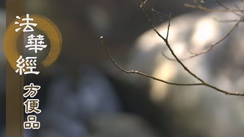 自覺覺他 以法供養 - 第218集