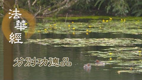 受持正法 顯德開道 - 第1602集