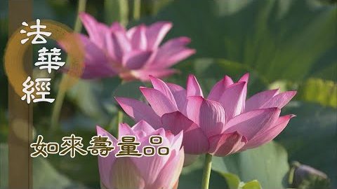 宇宙浩瀚 真空妙有 - 第1524集