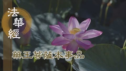 《法華經 藥王菩薩本事品》精純無邪 入覺三昧 - 第1816集