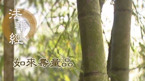 七覺茂林 道品閣樓 - 第1549集
