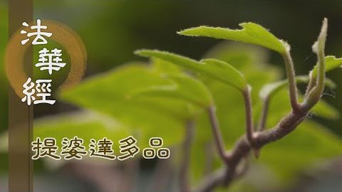 《法華經 提婆達多品》- 聞經信行 生三善處 - 第1336集