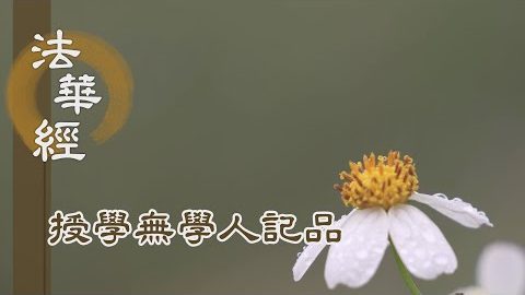 《法華經 授學無學人記品》- 法藏無量 專志精勤 - 第1191集