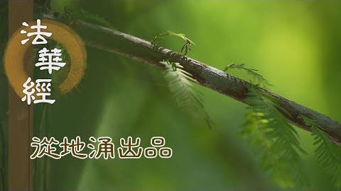 住無為中 行有為善 - 第1466集