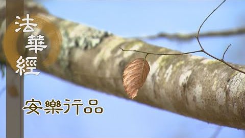 修習諸法 安住佛性 - 第1415集