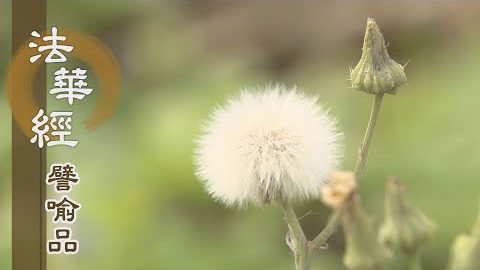 《法華經 譬喻品》時分有限 慧命永恆 - 第539集
