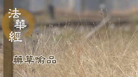 《法華經 藥草喻品》 - 慧雲含潤 遍覆一切 - 第898集