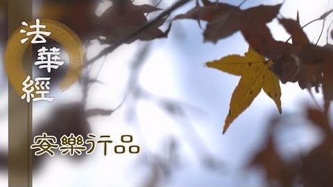 平等說法 以順法故 - 第1428集