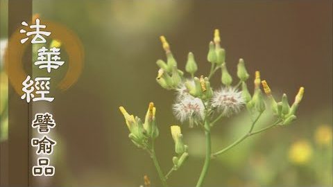 《法華經 譬喻品》體解三乘法 - 第654集