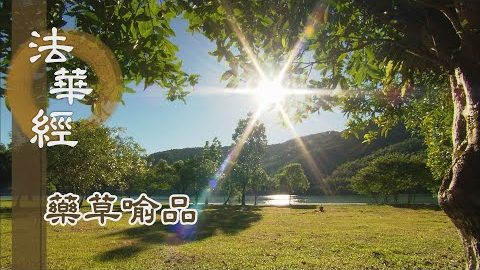 《法華經 藥草喻品》 - 究竟涅槃 常寂滅相 - 第893集