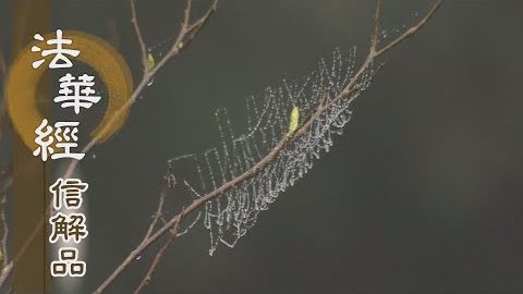 《法華經 信解品》誓宏度眾 大乘覺情 - 第828集
