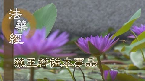 《法華經 藥王菩薩本事品》付囑住持 流通後世 - 第1832集