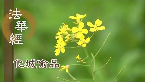 《法華經 化城喻品》 - 擊法鼓 度沉溺 - 第1038集