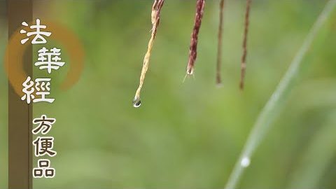 緣諦始終之理 - 第234集