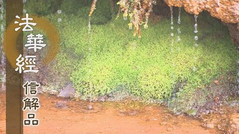 《法華經 信解品》執空而不進求 - 第732集