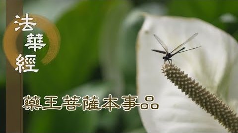 《法華經 藥王菩薩本事品》聞法布施 造福人間 - 第1862集