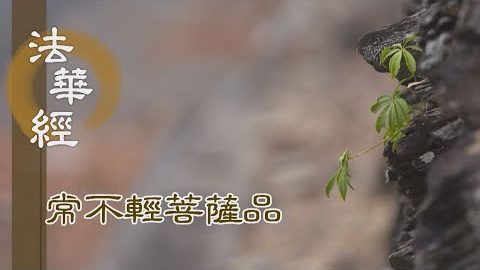 《法華經 常不輕菩薩品》善士益勤 精進力行 - 第1743集