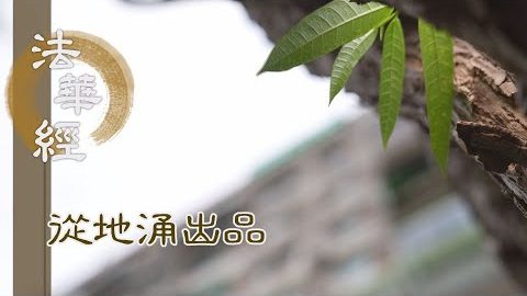 晝夜精進 為求佛道 - 第1493集