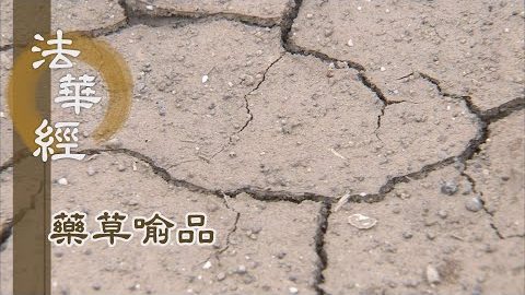 《法華經 藥草喻品》 - 佛如醫王 善用法藥 - 第876集