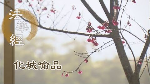 《法華經 化城喻品》 - 同乘正覺 說大乘法 - 第1092集