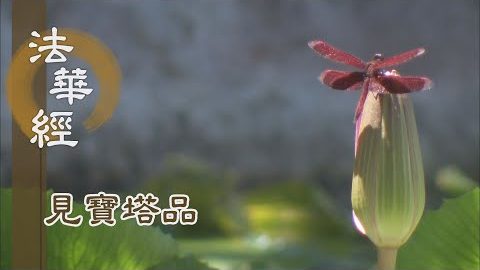 《法華經 見寶塔品》- 理實稱性 信願合一 - 第1315集