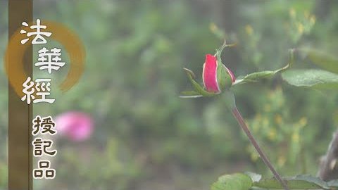 《法華經 授記品》 - 等覺後身 成應身佛 - 第955集