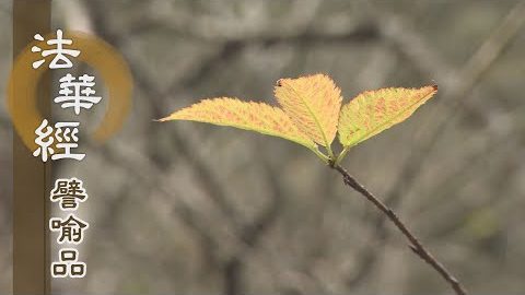 《法華經 譬喻品》心花心樂 迴轉法音 - 第514集