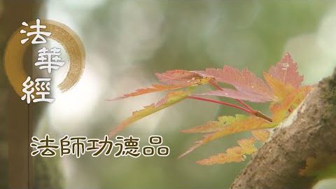 誠施無染 行善無求 - 第1681集