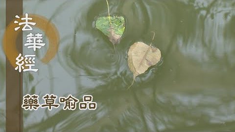 《法華經 藥草喻品》 - 一雨所及 皆得鮮澤 - 第903集
