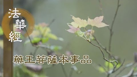 《法華經 藥王菩薩本事品》破諸魔賊 佛共守護 - 第1868集