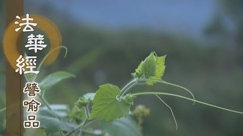 《法華經 譬喻品》以無漏功德為樂 - 第600集