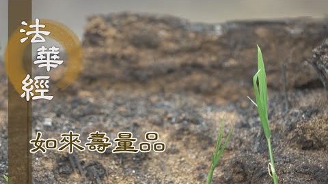 醫父喻佛 子喻三乘 - 第1553集