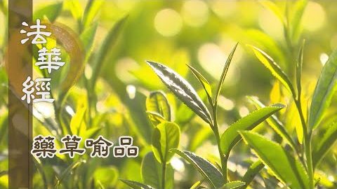 《法華經 藥草喻品》 - 體解三業 隨智慧行 - 第884集
