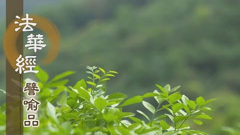《法華經 譬喻品》重法誠敬 獨處定慧 - 第712集