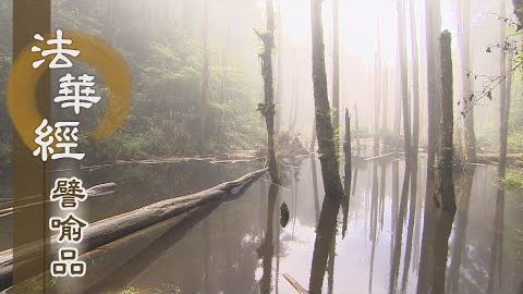 《法華經 譬喻品》八識藏業 隨形受報 - 第615集