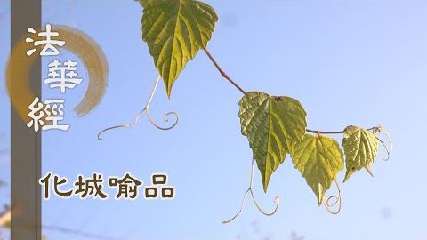 《法華經 化城喻品》 - 惡道險難 應去應度 - 第1081集