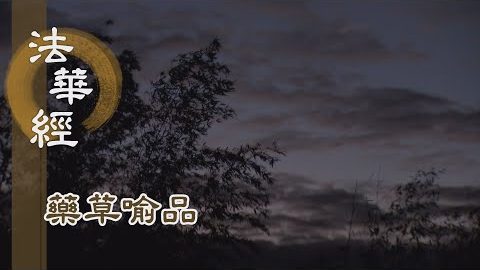 《法華經 藥草喻品》 - 安住神通 轉不退輪 - 第917集
