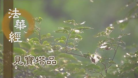 《法華經 見寶塔品》- 分化無量 佛智深廣 - 第1271集