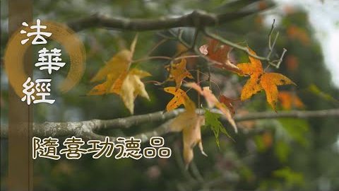 隨喜轉教 至第五十 - 第1621集