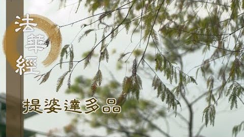 《法華經 提婆達多品》- 助因修緣 益菩提道 - 第1329集