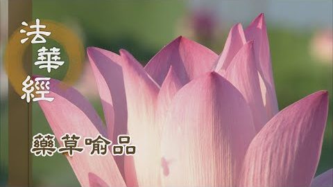 《法華經 藥草喻品》 - 種相體性 佛如實知 - 第892集