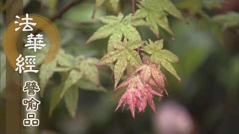 《法華經 譬喻品》離煩惱 修無漏 - 第641集