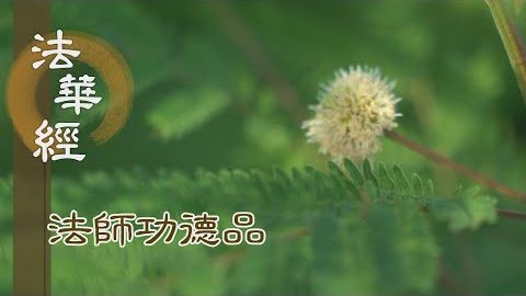如淨明鏡 照現諸相 - 第1710集