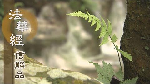 《法華經 信解品》一念妄動 游離本覺 - 第834集