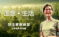 正念冥想-想法念頭覺察練習-靳秀麗