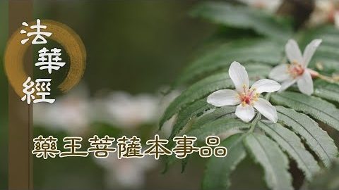 《法華經 藥王菩薩本事品》致誠燃臂 修福供養 - 第1837集